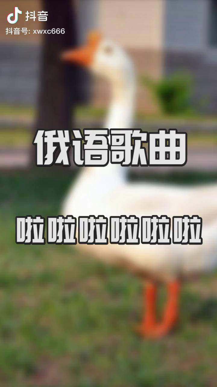 最近很火的啦啦啦俄语歌曲叫什么名求歌大神遇见过去的自己