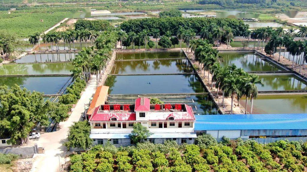 五月是投放鱼苗的好时节_繁育_养殖_百色市