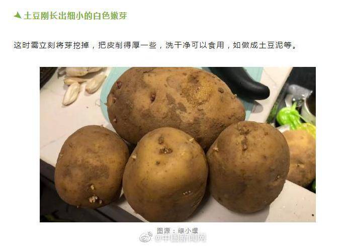 上海自然博物館科普:發芽土豆挽救方法_食用_芽眼_嫩芽