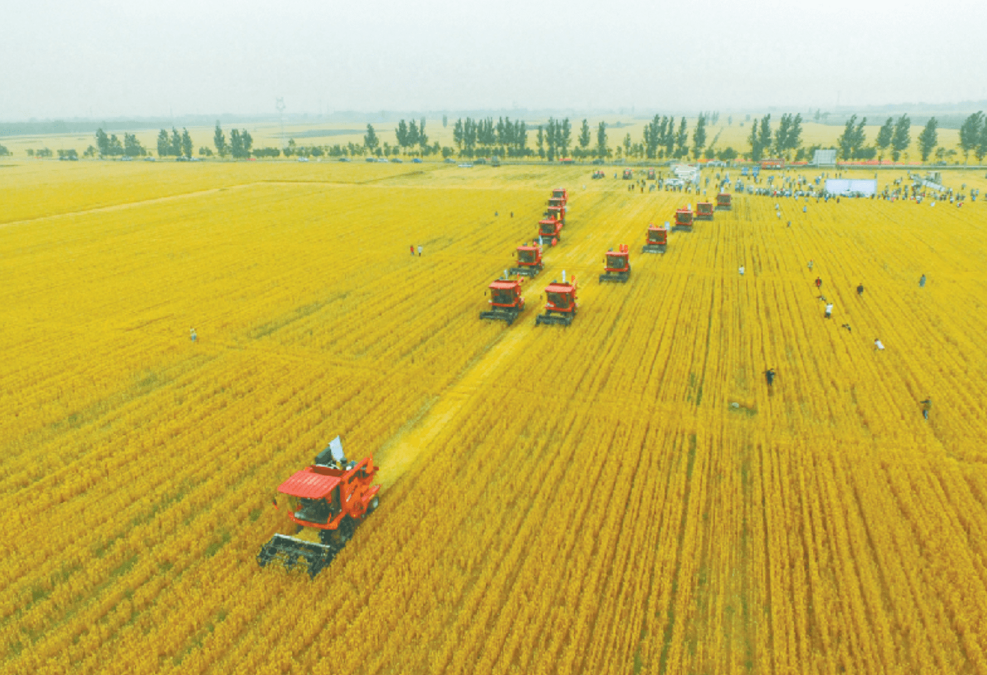 华北地区农业生产特征图片