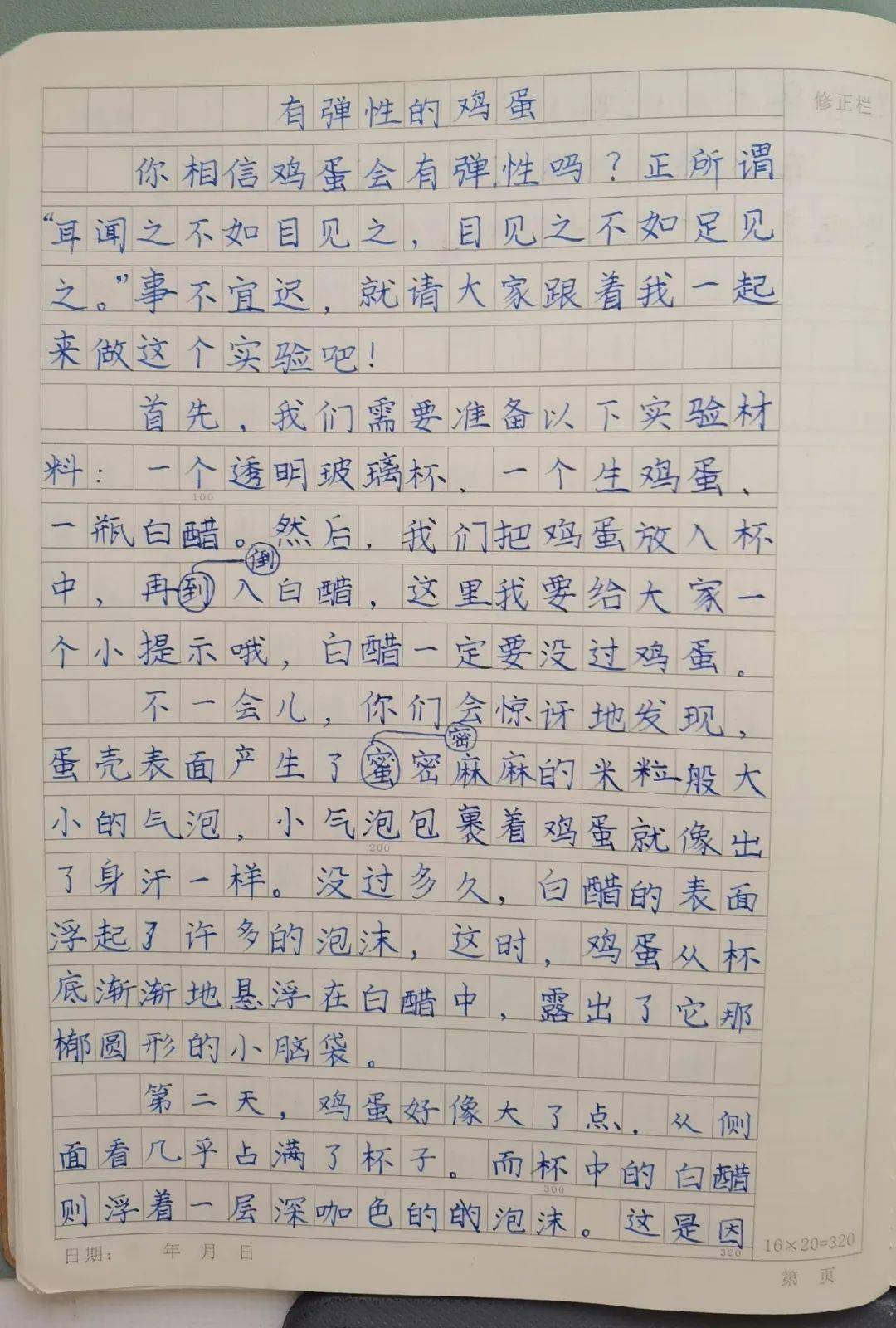 实验作文怎么写图片