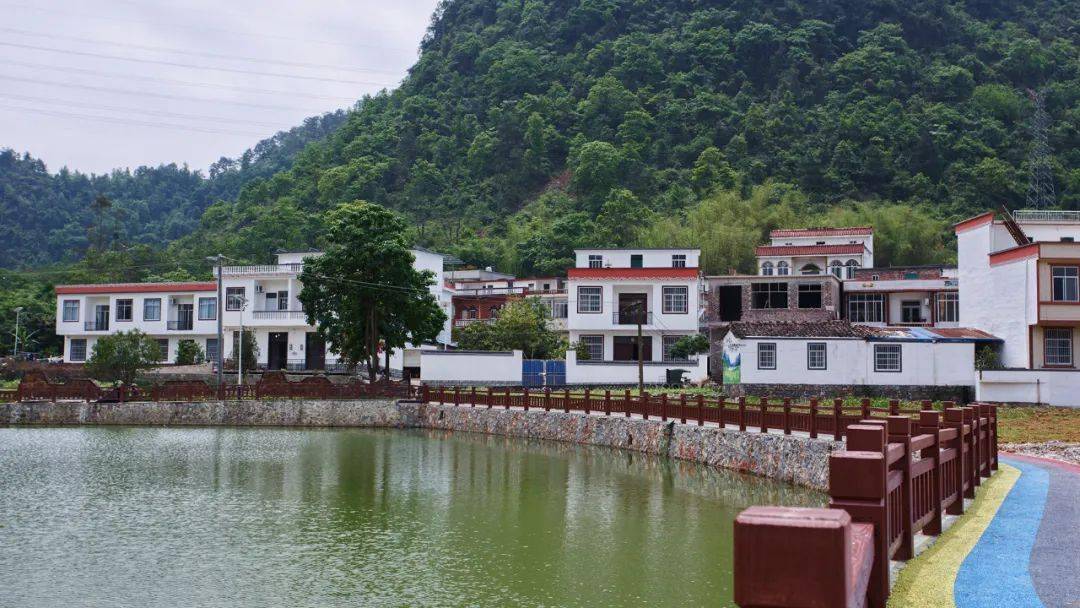 素材来源:龙茗镇人民政府通讯员:陆耀新编辑:王耀旭审核:李志高终审