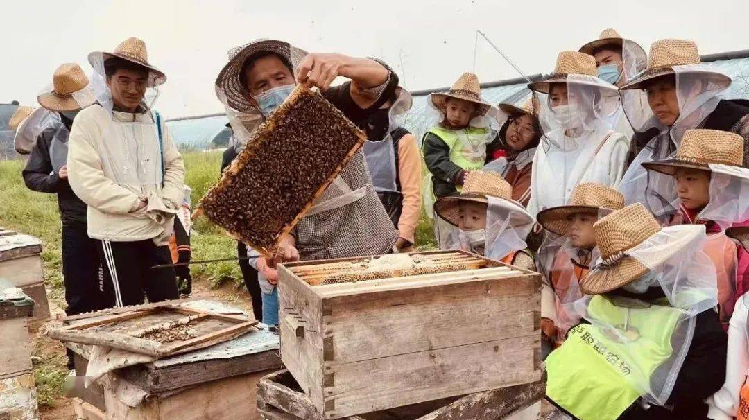 小蜜蜂是用什么方式交流的?谁是清洁工,警卫员,仓库管理员?