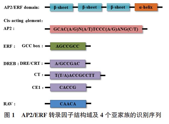 精选 | 2020-2022年『 植物转录因子 』主题文章(一)