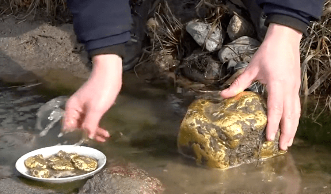 捡到的黄金应该归国家吗牧民捡到157斤狗头金有人出价300万