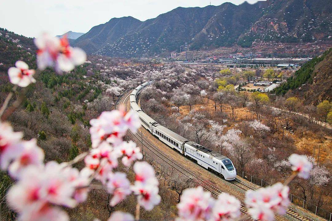 减少疫情期间人员聚集,自4月29日至5月4日期间,北京市郊铁路s2线在
