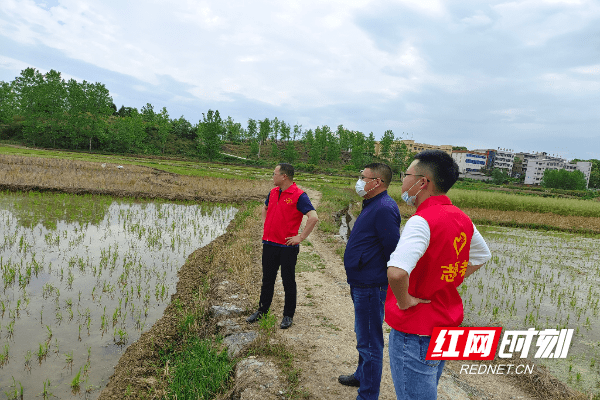 洞口县竹市镇守护耕地跟着田长去巡田