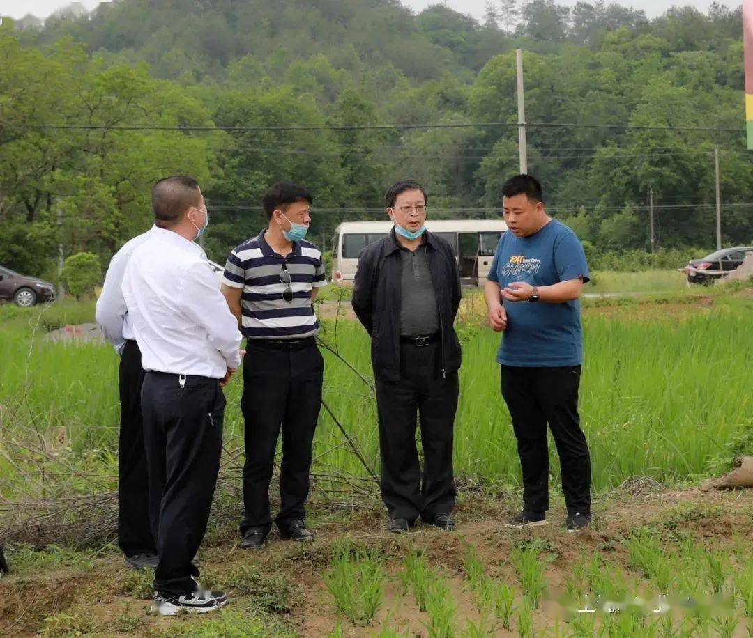 刘光华一行在横峰玉山调研督导统筹疫情防控和春季农业生产工作