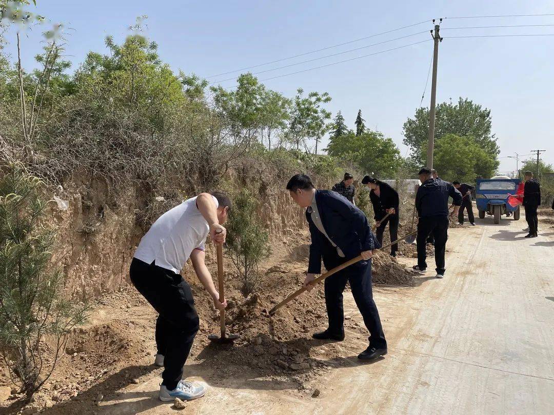 冯原镇黎光村开展巷道绿化美化行动助推乡村振兴
