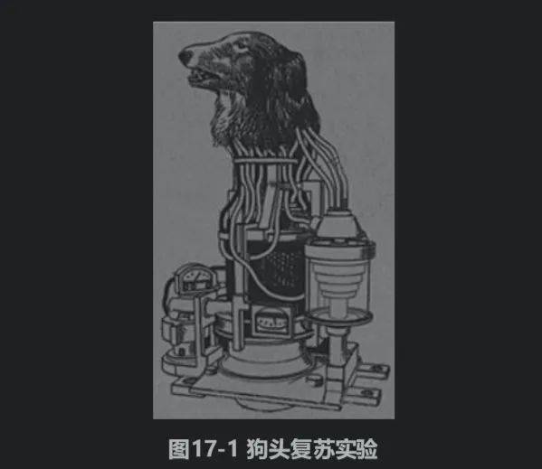 被斩首后他居然还能眨眼