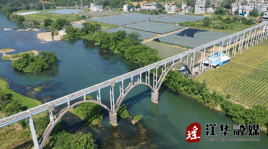 江华沱江镇天桥村阳光葡萄保花忙