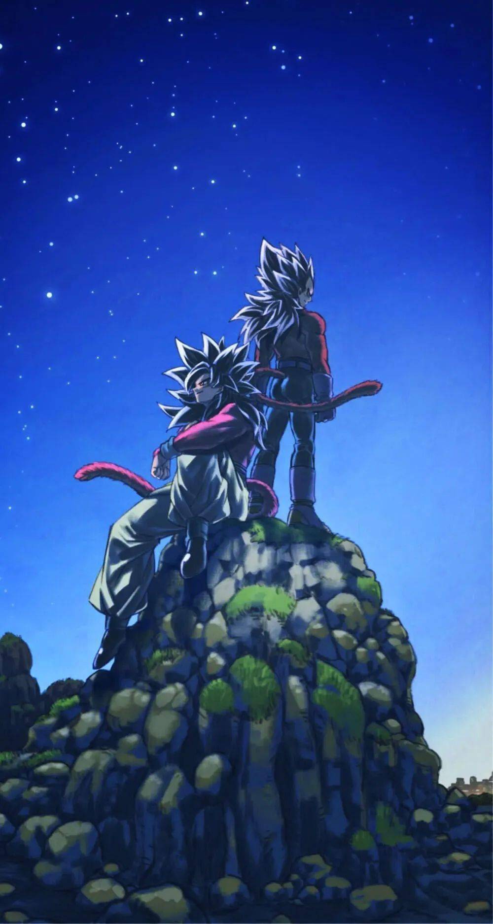 龙珠壁纸悟空与贝吉塔