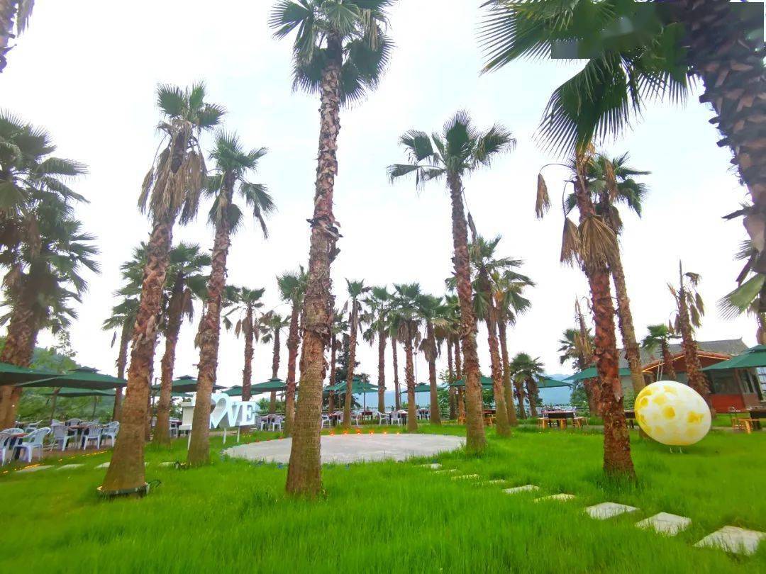 速来围观丨沙湾又添一处"网红"打卡点!