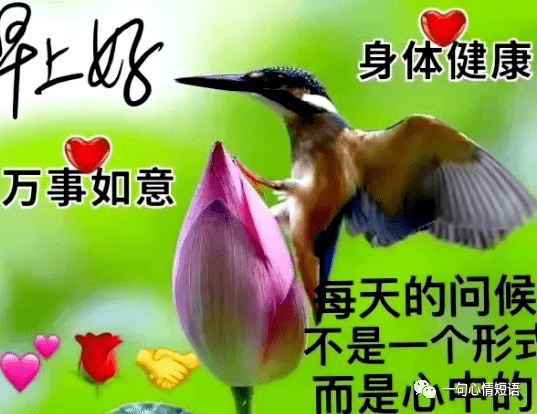 早上好祝福語醒來祝平安