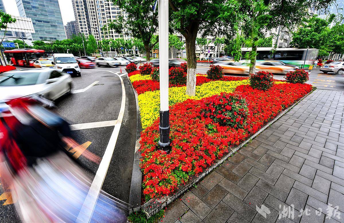 汉口三阳路和解放大道交会处的两个渠化岛上,每个角都划出一块绿化