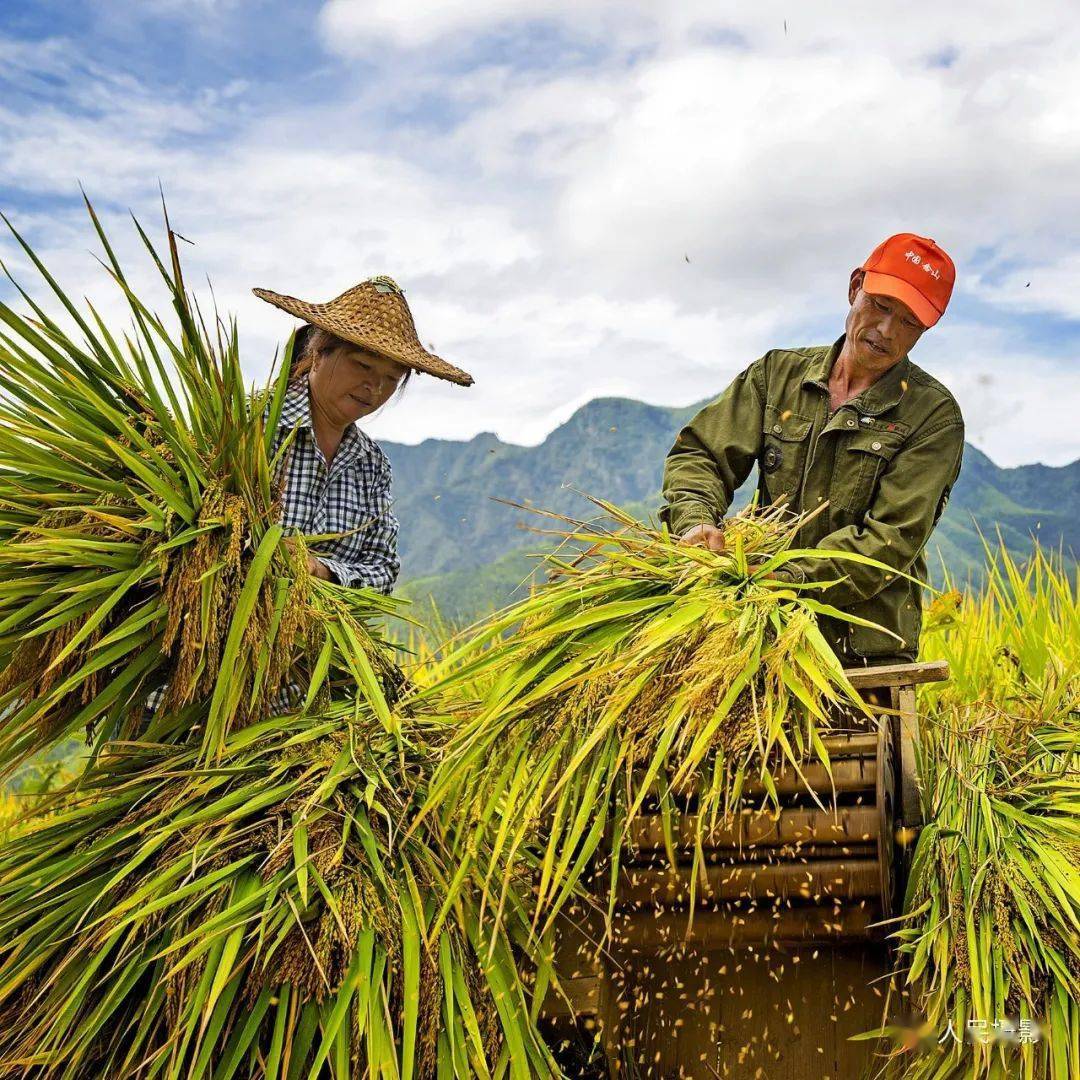 劳动创造美用影像感受劳动的魅力