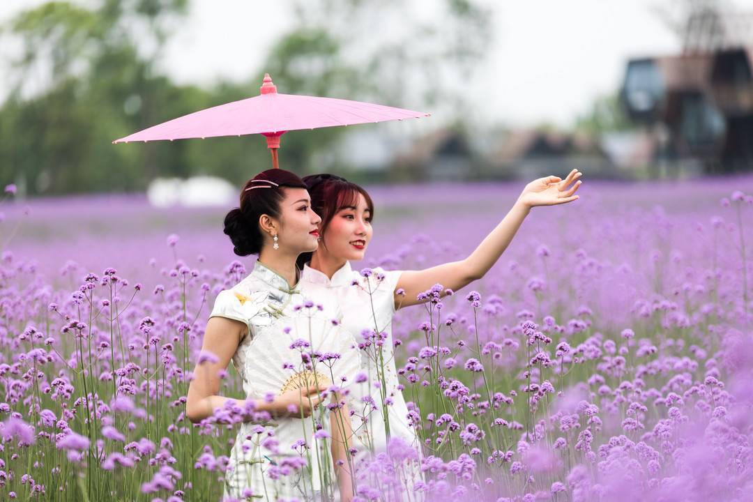 本次活动由中共大邑县委宣传部,大邑县文体旅游局,大邑县安仁博物馆