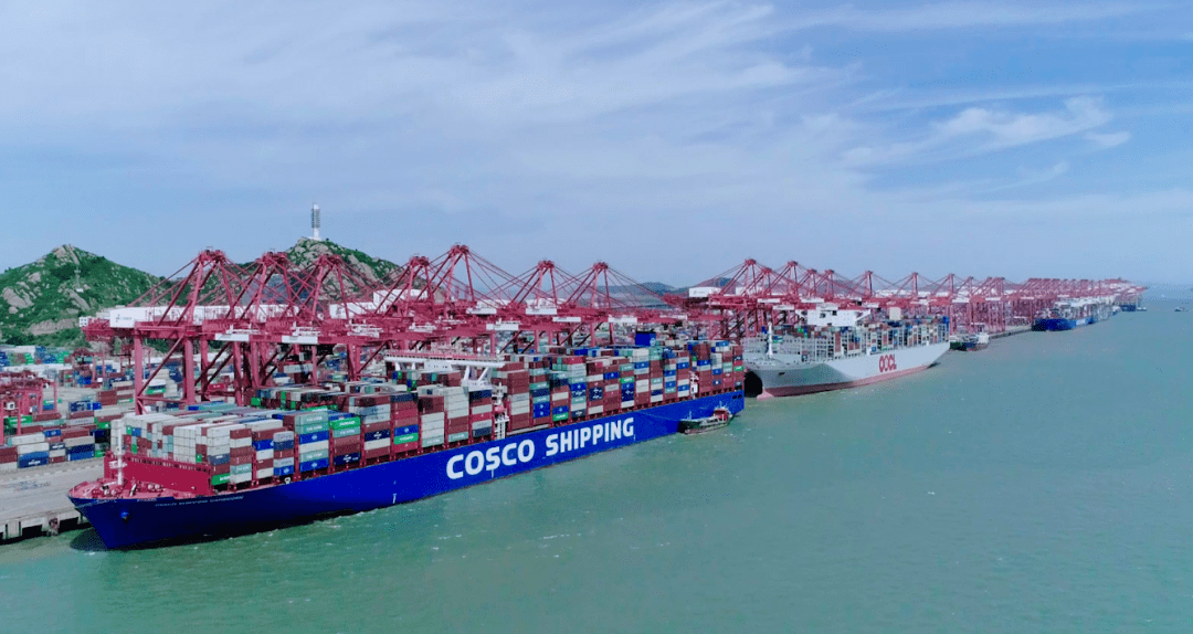 67涨涨涨中远海运系上市公司集体发布2022年一季度业绩