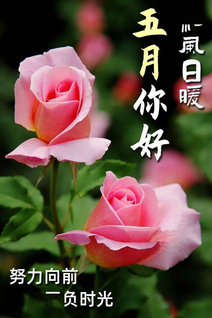 祝福_开心_朋友