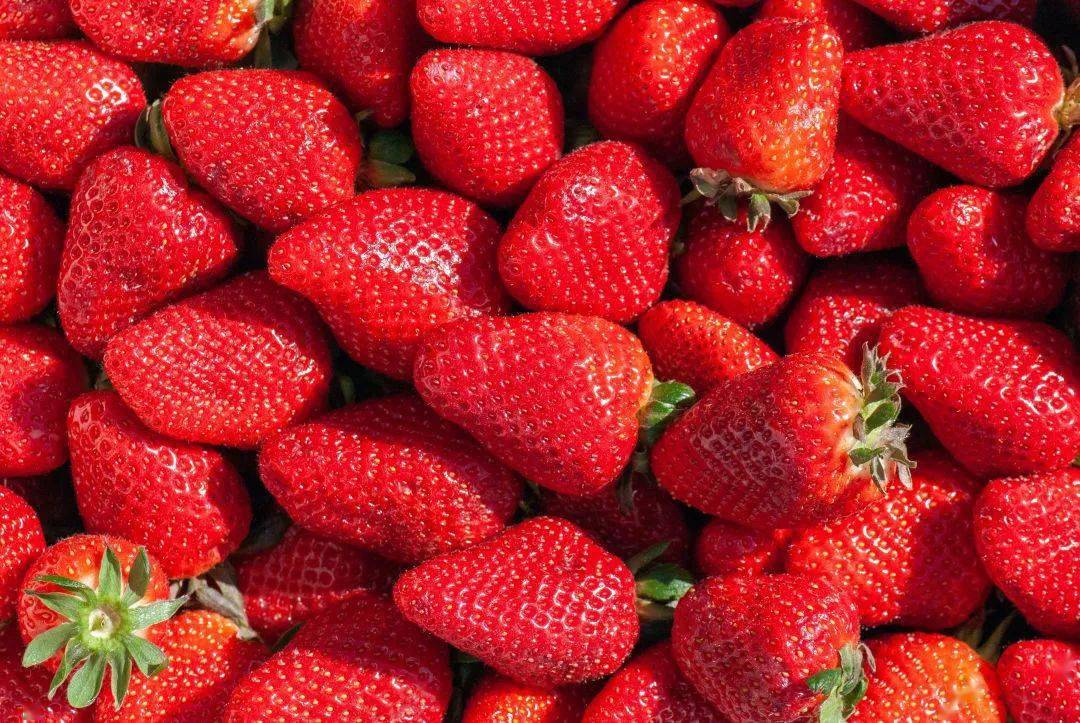 草莓是最脏的水果但营养专家却推荐吃真相是