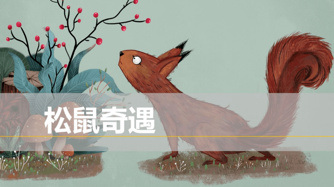文章配图-20