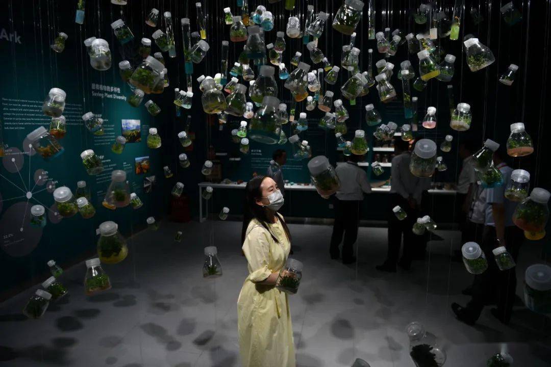 行摄云南打卡昆明种子博物馆