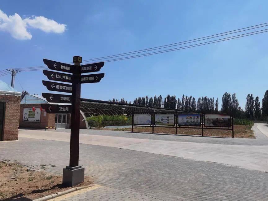 盐池县花马池镇曹尼洼民俗村的桃子熟了