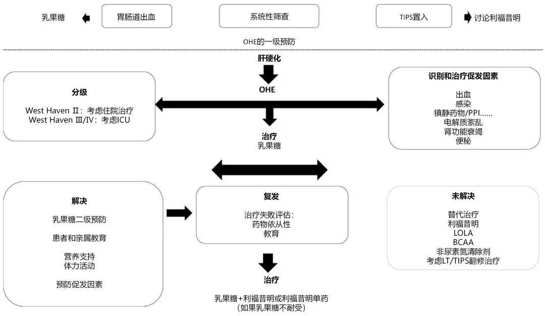 3張圖總結肝性腦病的診治方法