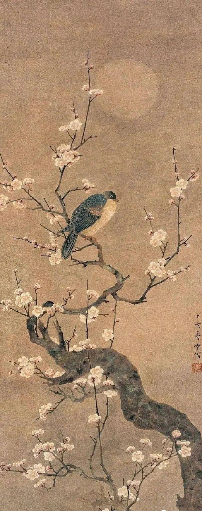 陈之佛画梅,美在清雅!_梅花_经纪_投资