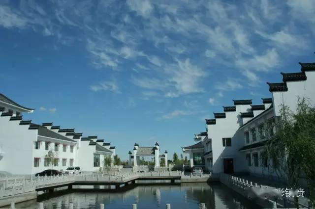 大岗林场在镇赉县西北部的平原上,林场草原宽阔,植被种类繁多.