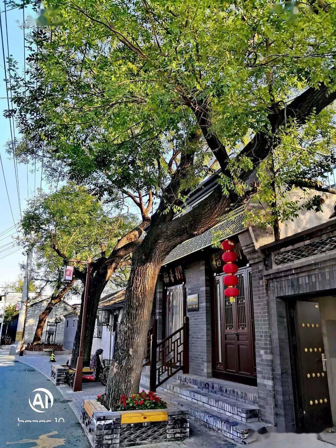 申申说走进模式口古街