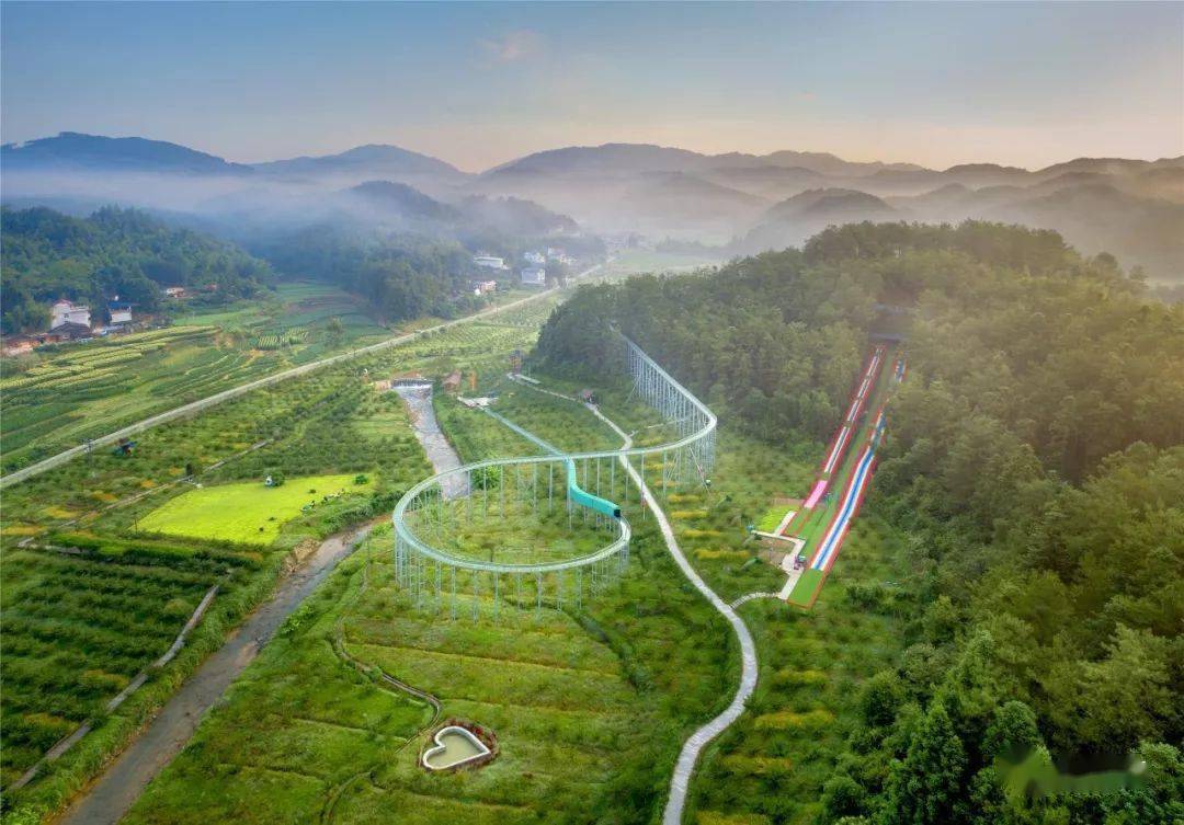 景区_大田县_茶园