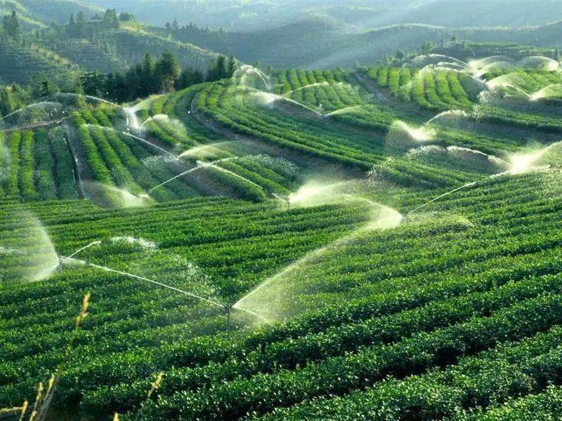 科技强农 机械强农丨龙泉力促生态农业提质增效