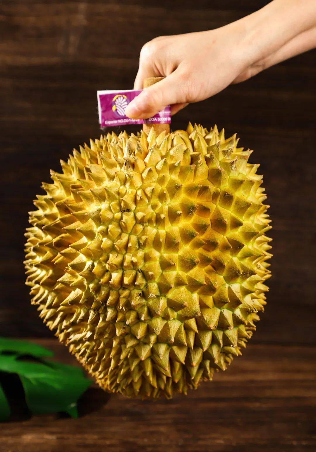 ole39精品超市金枕榴莲霸气回归预售专享￥266斤还有分分钟卖光的干尧