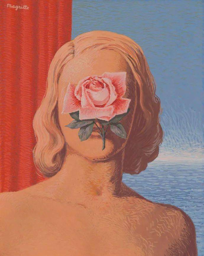 绘画 | 马格里特的玫瑰