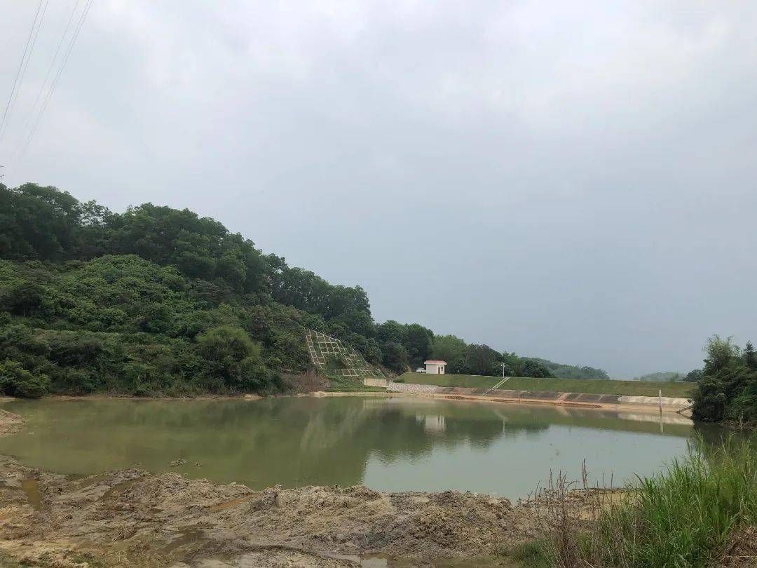 拆荔城街棠厦村