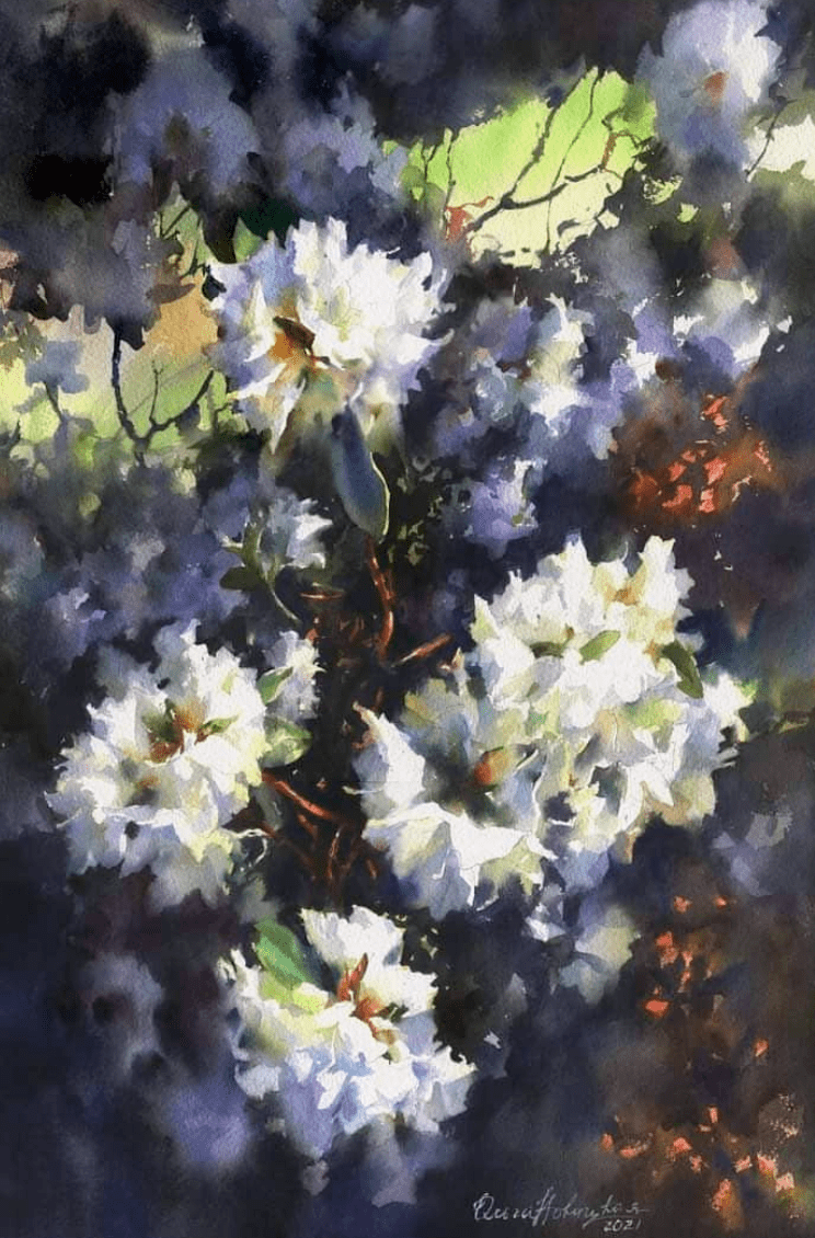 白俄罗斯水彩画家olganovitskaya作品欣赏花卉系列一