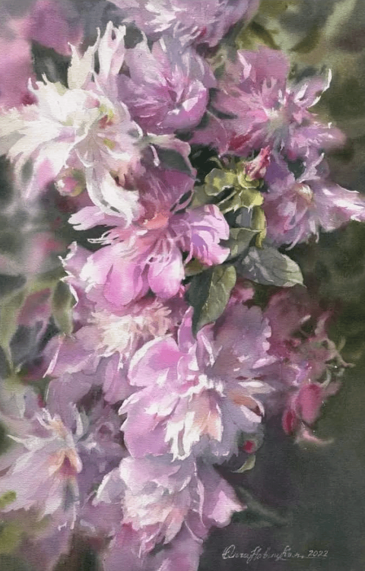 白俄罗斯水彩画家olganovitskaya作品欣赏花卉系列一