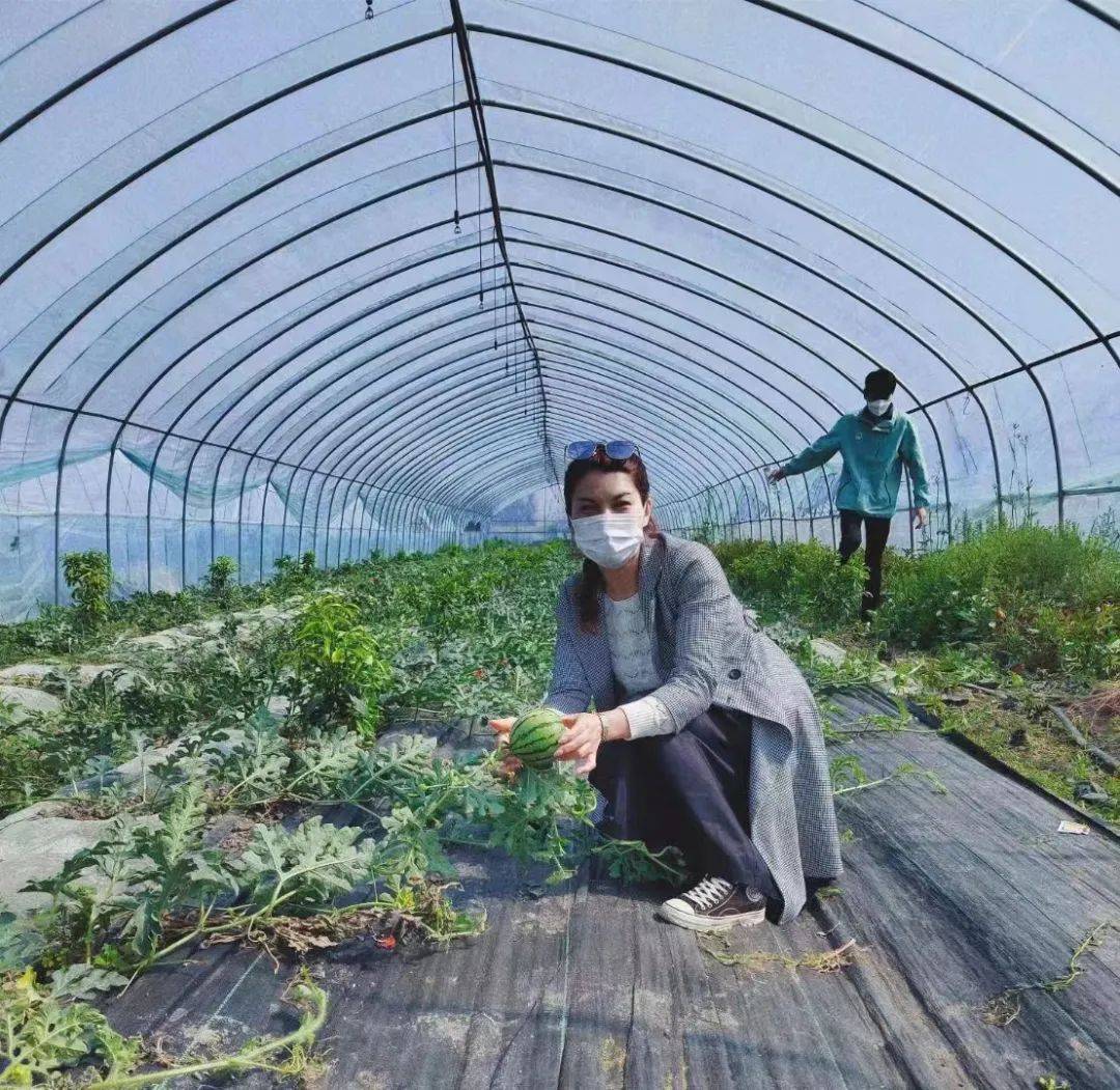 張公山公園江淮植物園江淮植物園禾泉農莊禾泉農莊各大景區遊客絡繹不