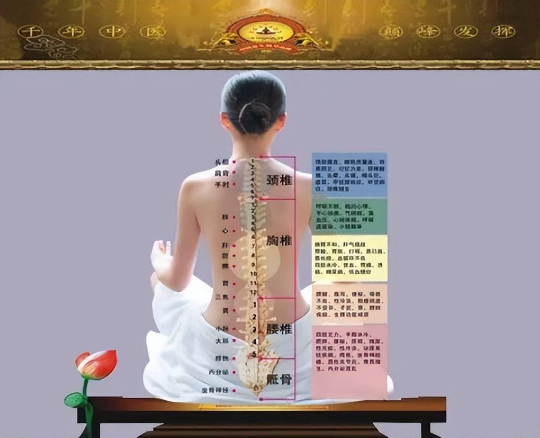 人體帶名稱的有14經,包括12經脈,加任督二脈,這是奇經八脈,所有的穴位