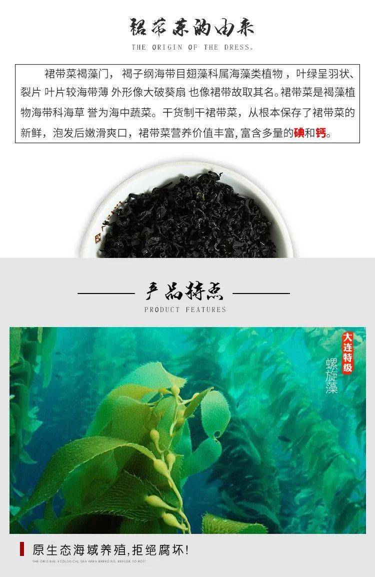 来自深海的营养蔬菜裙带菜味道鲜美还是补钙能手