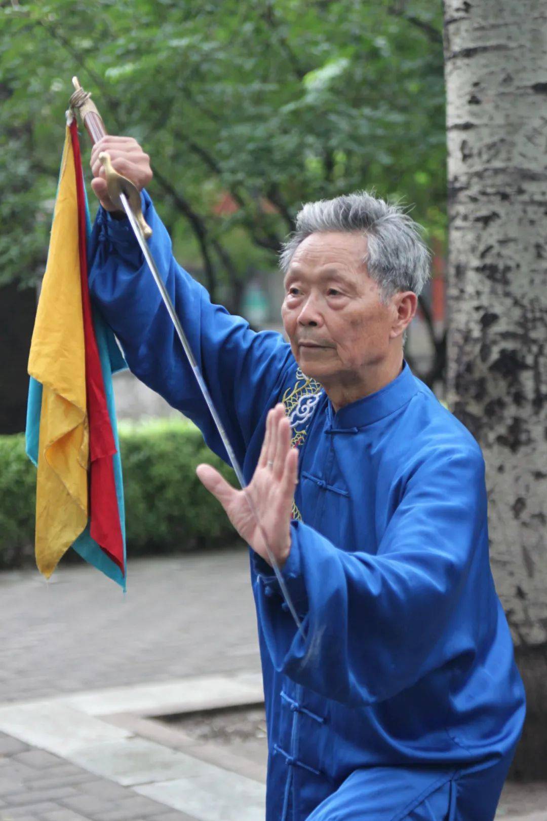 丁水德52式太极刀刀谱图片