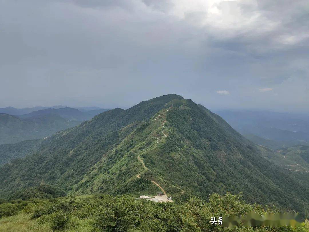 云浮大金山栈道图片