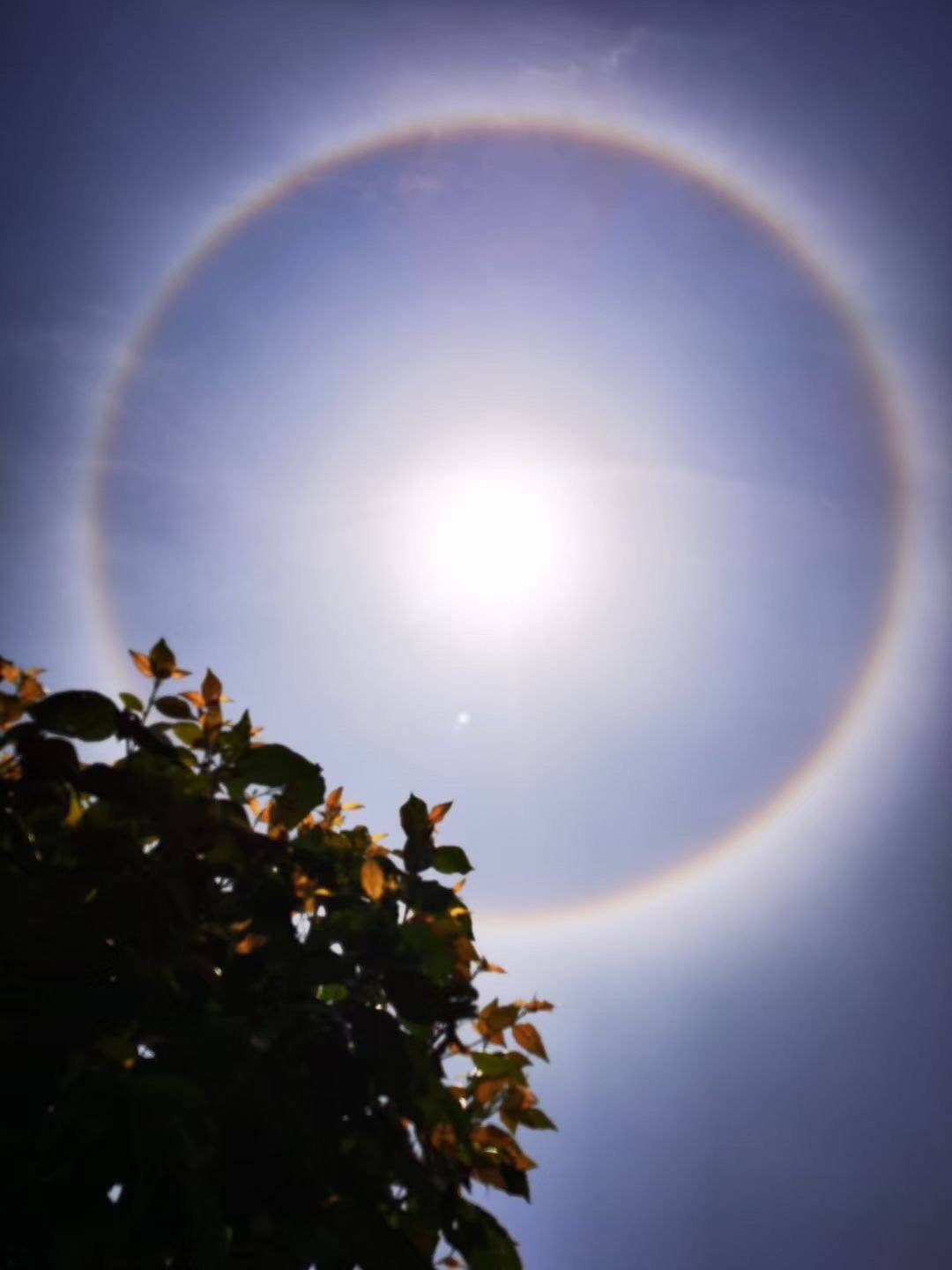 最近成都上空频繁出现日晕原来与 它 有关 廖凯 天气 太阳