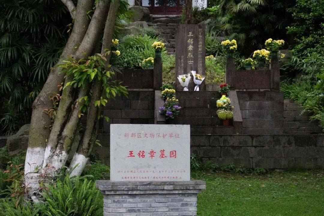 五四青年节|百年筑梦正当时_青年救国_王铭章_将军