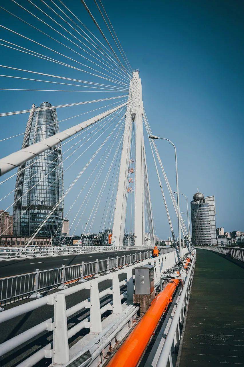 走过宁波的桥,才真正读懂了宁波!_甬江_大桥_桥梁