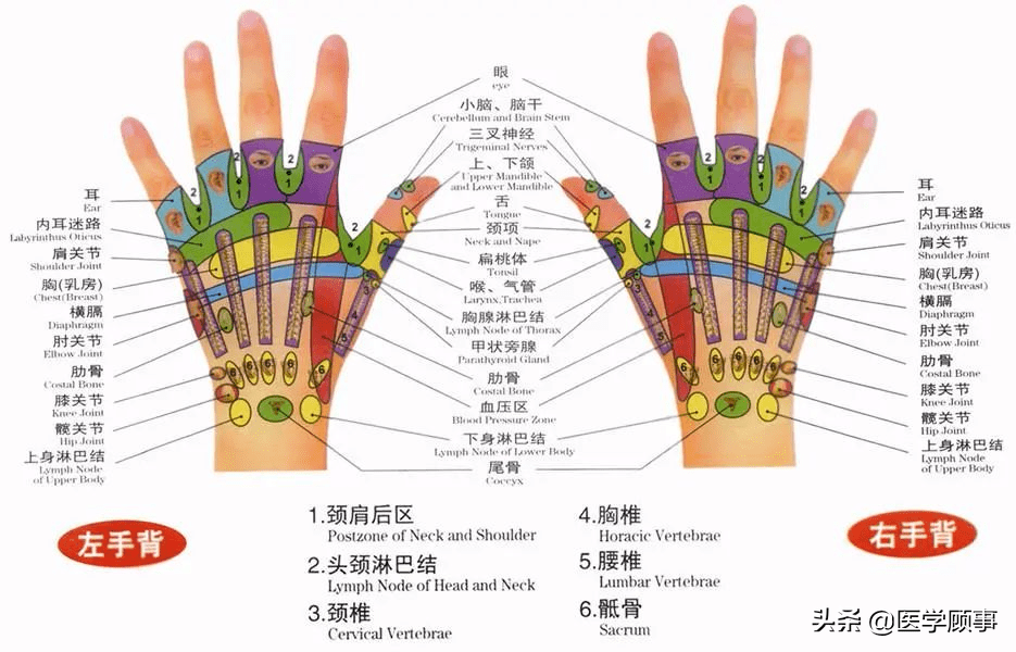 手掌手背可以治百病的穴位