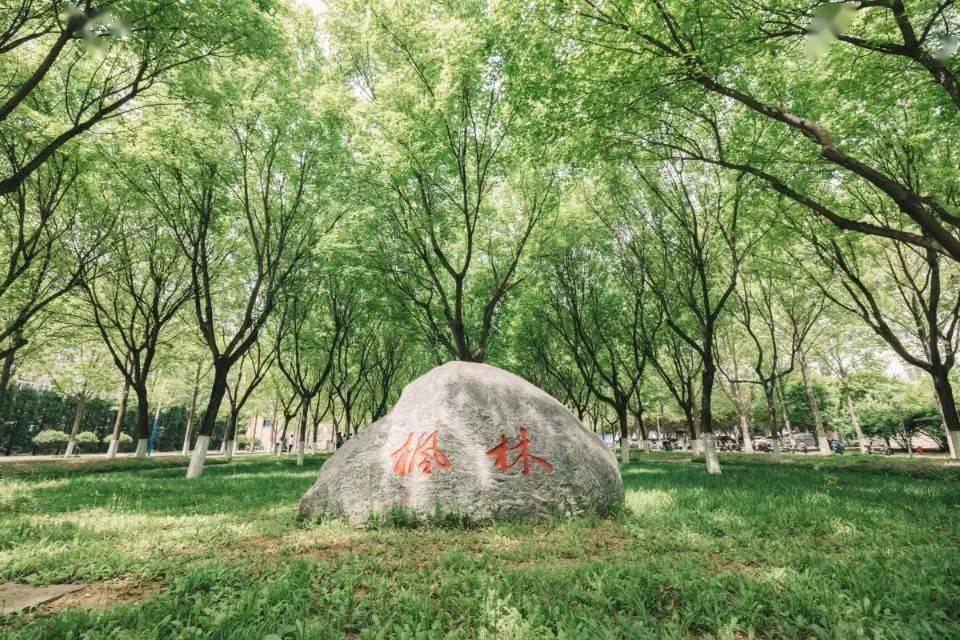 解密"园林学府"……_校园_景观_校区