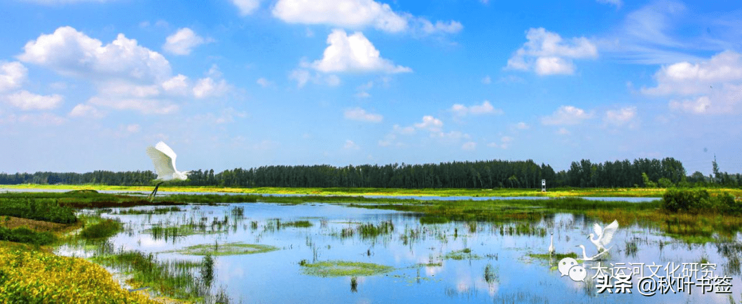 新水經注流淌在邳州大地上的血脈河流