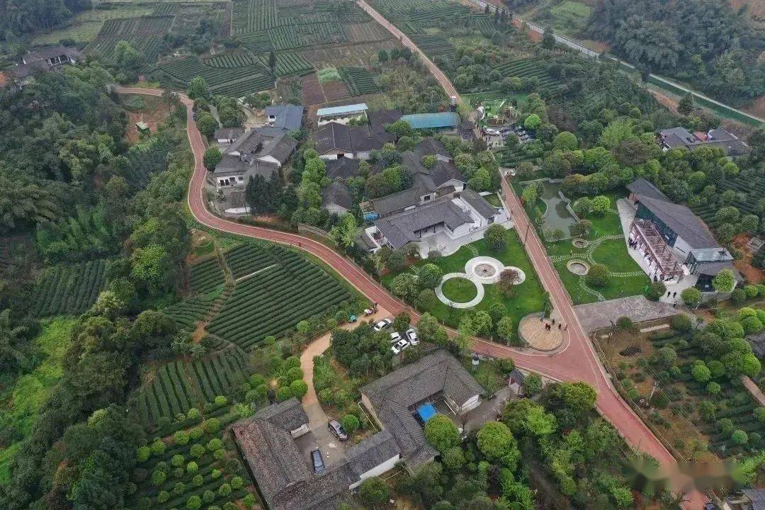 成都邛崃:乡村唯有走向未来,乡村振兴才有希望……_建设_浙江_口镇